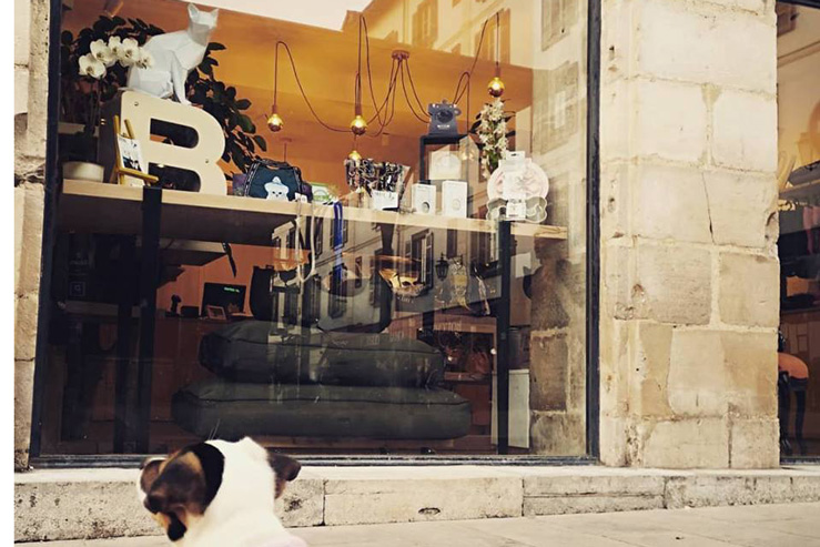 Babine Store Concept-1er shop pour chiens et chats-Biarritz