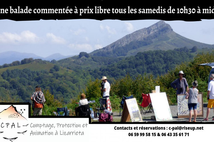 Balade oiseaux sare- idées sorties pays basque week-end 16 octobre