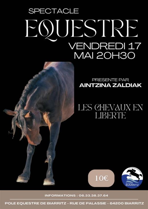 affiche-biarritz-spectacle-equestre