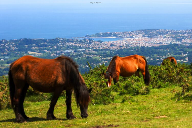 mandale-randonnée pays basque