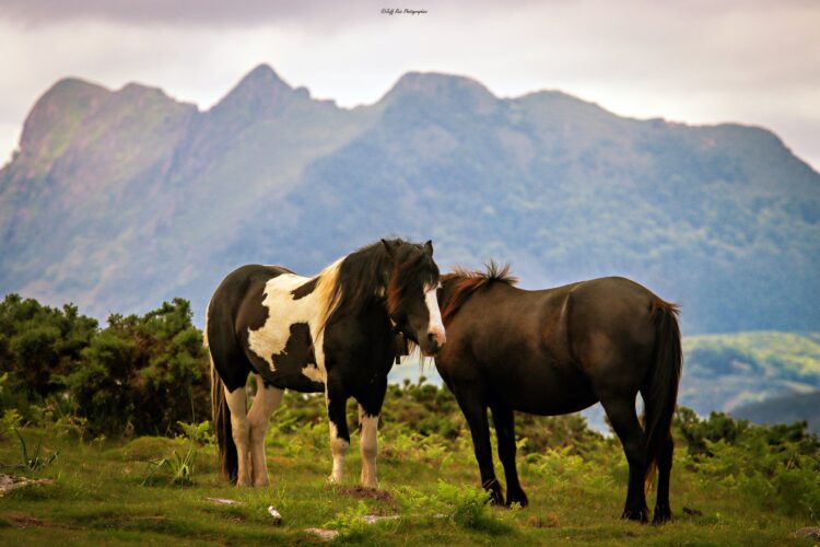 randonnée pays basque-mandale