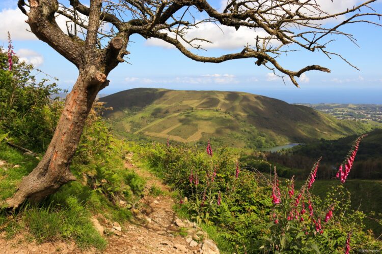 mandalé-randonnée Pays basque