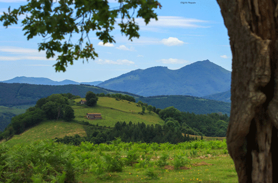 rando-pays-basque