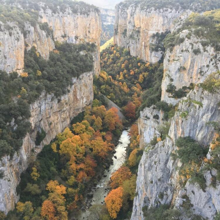 Forêt d'Irati - Que faire au Pays Basque