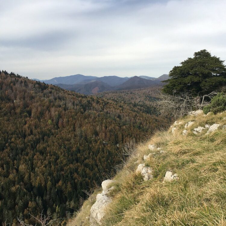 Forêt d'Iraty - Que faire au Pays Basque