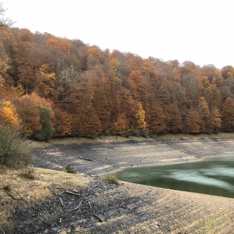 Forêt d'Iraty - Que faire au Pays Basque