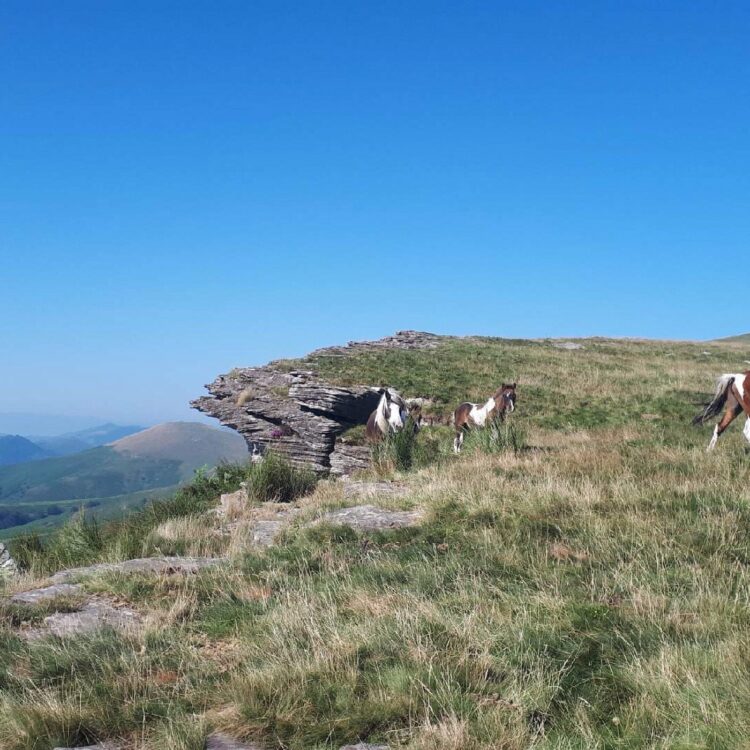 Mont Artzamendi - Que faire au Pays Basque