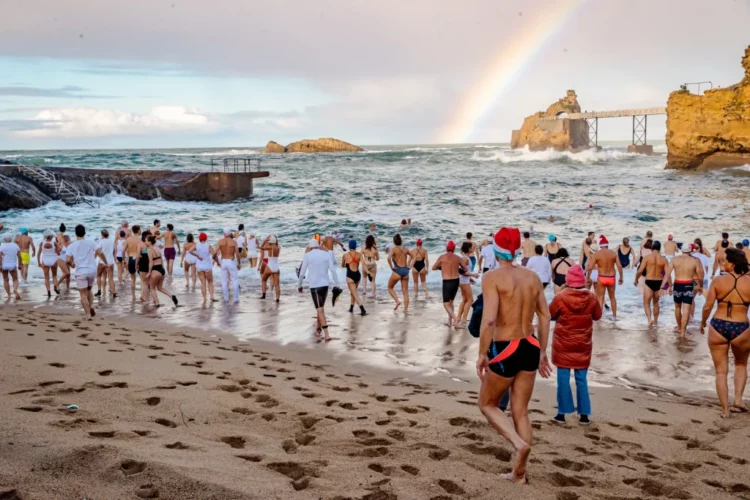 bain-des-ours-blancs-2023-a-ville-de-biarritz-delphine-pernaud-1024x683