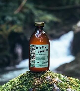 kombucha-artisanal-turbulente