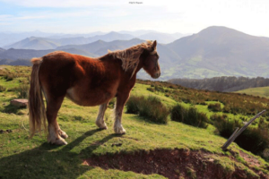 randonnée-Pays-basque-Gorra-et-Barda