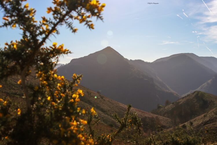 crêtes zerkanbide-randonnée pays basque